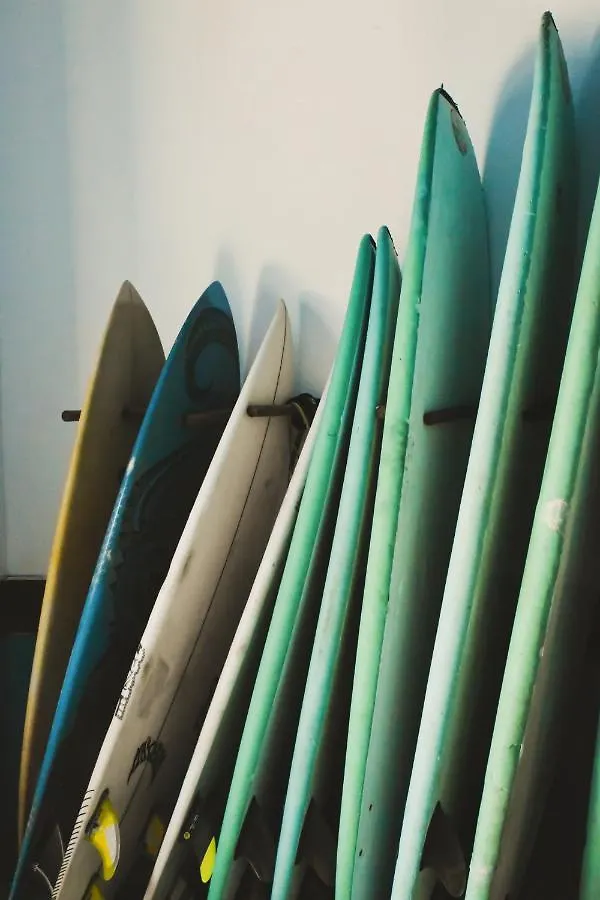 Single Fin Surf Hostel Arona