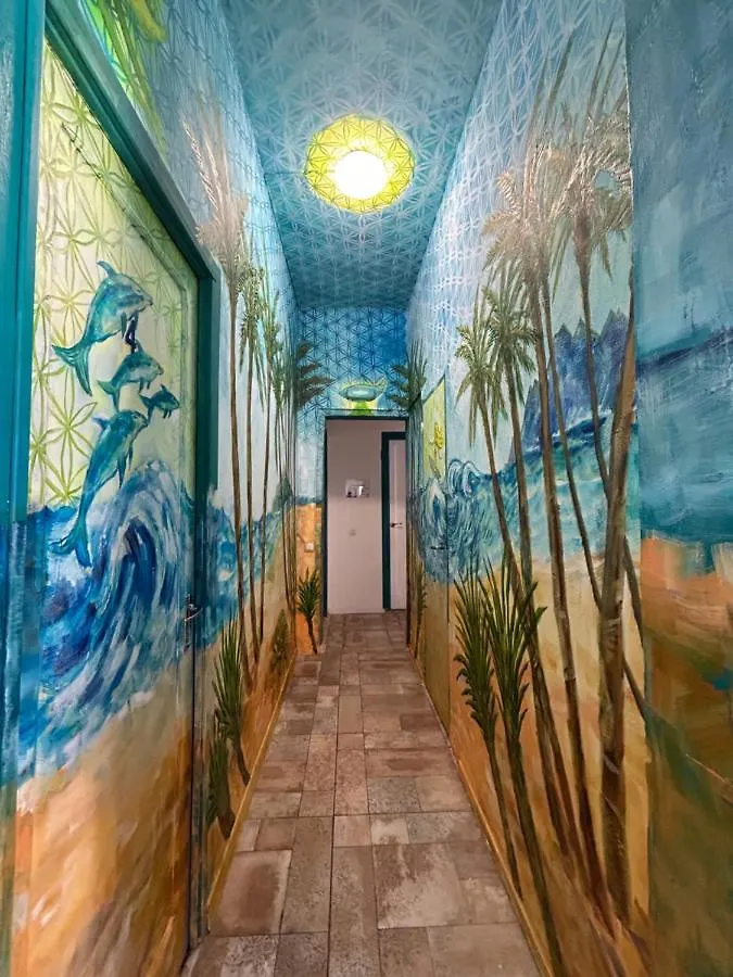 Single Fin Surf Hostel Arona  Spain